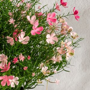 Искусственный цветок в горшке Ginosa 36 см, розовый Summer Deco фото 5