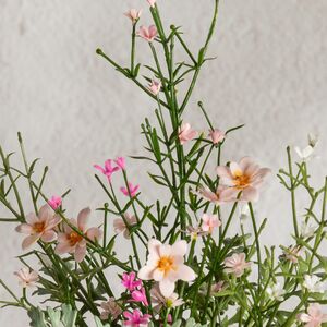 Искусственный цветок в горшке Meadow Flowers 26 см Summer Deco фото 6