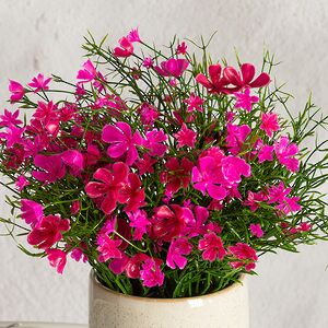 Искусственные цветы в горшке Флоксы розовые 23 см Summer Deco фото 2