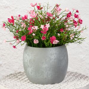 Искусственные цветы в горшке Флоксы нежно-розовые 23 см Summer Deco фото 6