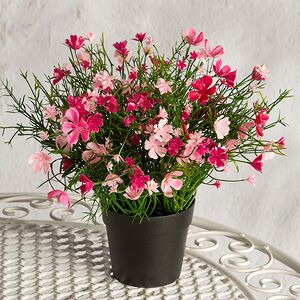 Искусственные цветы в горшке Флоксы нежно-розовые 23 см Summer Deco фото 4
