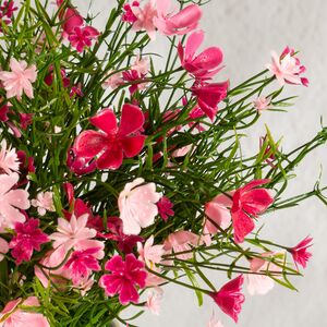 Искусственные цветы в горшке Флоксы нежно-розовые 23 см Summer Deco фото 7