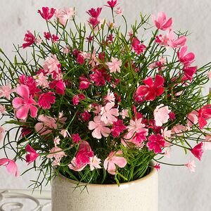 Искусственные цветы в горшке Флоксы нежно-розовые 23 см Summer Deco фото 2