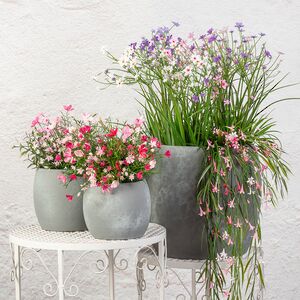 Подвесной искусственный цветок Pateley Bridge 69 см, розовый Summer Deco фото 5