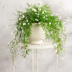 Искусственный подвесной куст Midleton Stone 43 см, белый