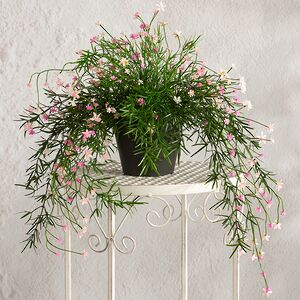 Подвесной искусственный цветок Midleton Stone 43 см, розовый Summer Deco фото 4
