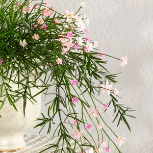 Подвесной искусственный цветок Midleton Stone 43 см, розовый Summer Deco фото 6