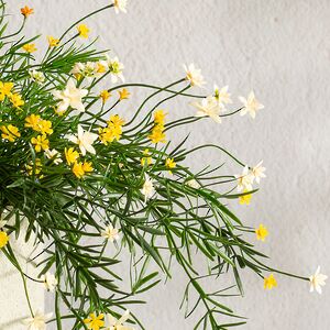 Подвесной искусственный цветок Midleton Stone 43 см, желтый Summer Deco фото 5