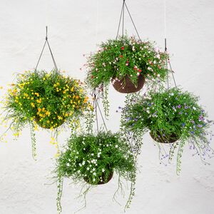 Искусственный цветок в кашпо Matera - Нежный Сонет 43 см Summer Deco фото 3