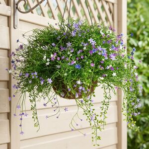 Искусственный цветок в кашпо Матерра - Нежный Сонет 43 см Summer Deco фото 5
