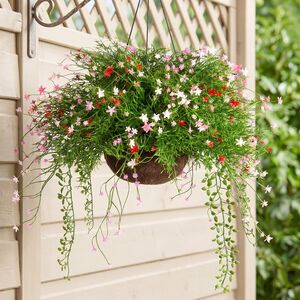 Искусственный цветок в кашпо Матерра - Цветочный Коктейль 43 см Summer Deco фото 5
