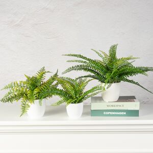 Искусственный цветок в горшке Папоротник - Malmesbury 43 см Summer Deco фото 3