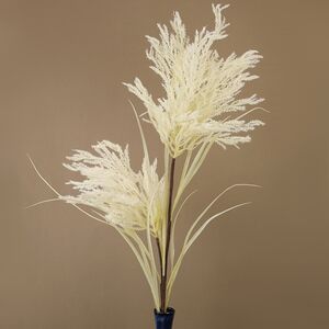 Декоративная ветка Pampas Creamy 119 см