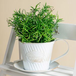 Искусственное растение в горшке Boxwood 29 см черный Boltze фото 2