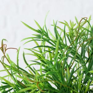 Искусственное растение в горшке Boxwood 29 см черный Boltze фото 2