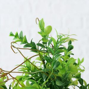 Искусственное растение в горшке Boxwood 29 см бежевый Boltze фото 2