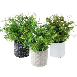 Искусственное растение в горшке Boxwood 29 см черный Boltze фото 5