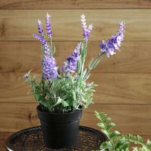 Искусственный цветок в горшке Лаванда Loddon Blue 25 см