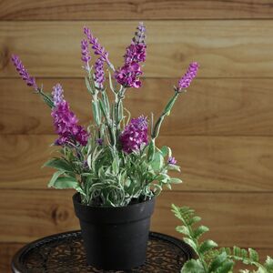 Искусственный цветок в горшке Лаванда Loddon Pink 25 см
