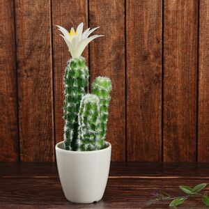 Искусственное растение в горшке Кактус White Pearl 24 см