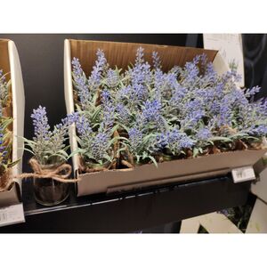 Искусственный цветок Лаванда Loddon Blue в стеклянном кашпо с джутовой ленточкой Kaemingk фото 5