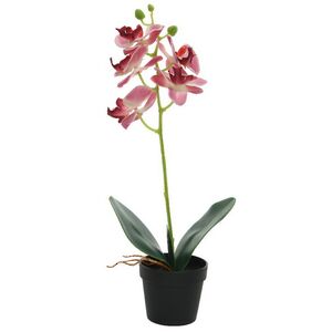 Искусственная орхидея в горшке Dominica Pink 40 см Kaemingk фото 2
