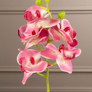 Искусственная орхидея в горшке Доминика 40 см Kaemingk (Кейминг) фото 2
