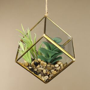Декоративный подвесной флорариум Succulent 15 см