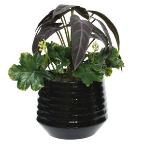 Искусственное растение в горшке Alocasia Purple 25 см Kaemingk фото 5