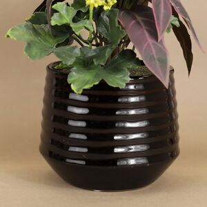 Искусственное растение в горшке Alocasia Purple 25 см Kaemingk фото 4