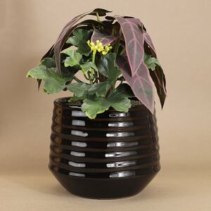 Искусственное растение в горшке Alocasia Purple 25 см