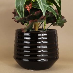 Искусственное растение в горшке Alocasia Green 25 см Kaemingk фото 4