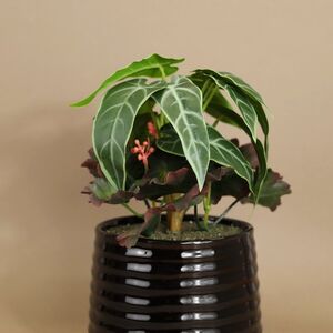 Искусственное растение в горшке Alocasia Green 25 см Kaemingk фото 5