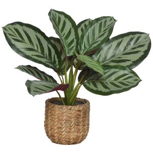 Искусственное растение в горшке Calathea 38 см Kaemingk фото 4