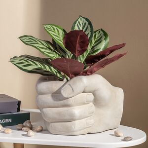 Искусственное растение в горшке Calathea 38 см Kaemingk фото 4