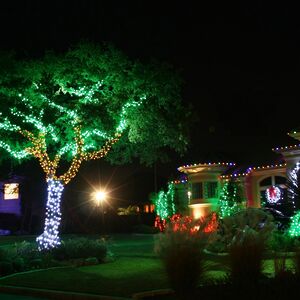 Гирлянды на дерево Клип Лайт Quality Light 30 м, 300 зеленых LED ламп, с мерцанием, прозрачный ПВХ, IP44 BEAUTY LED фото 3