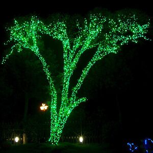 Клип Лайт - Спайдер Quality Light 60 м, 600 зеленых LED ламп, с мерцанием, прозрачный ПВХ, IP44 BEAUTY LED фото 2