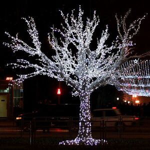 Гирлянды на дерево Клип Лайт Quality Light холодные белые LED лампы, прозрачный ПВХ, IP44
