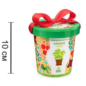 Набор для выращивания Базилик зеленый в горшке Happy Plant (Хэппи Плант) фото 5