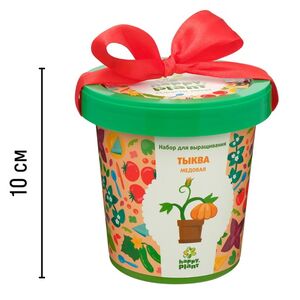 Набор для выращивания Тыква Медовая в горшке Happy Plant фото 5