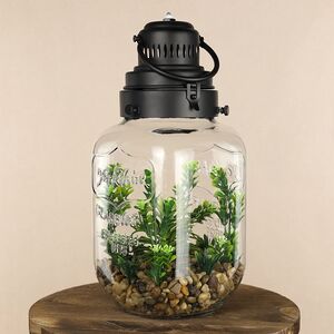 Декоративный флорариум-банка Rozzano 33*16 см, теплая белая LED подсветка Koopman фото 2
