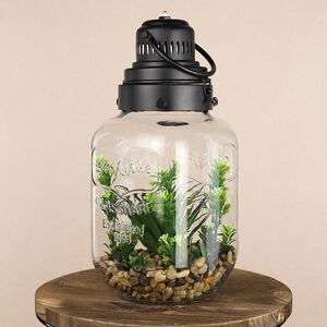 Декоративный флорариум-банка Ronzone 33*16 см, теплая белая LED подсветка Koopman фото 2