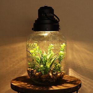 Декоративный флорариум-банка Ronzone 33*16 см, теплая белая LED подсветка