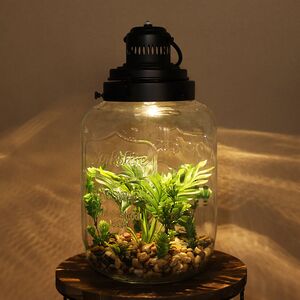 Декоративный флорариум-банка Rubiera с Элодией 39*20 см, теплая белая LED подсветка 