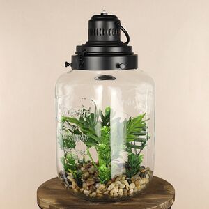 Декоративный флорариум-банка Rubiera с Элодией 39*20 см, теплая белая LED подсветка  Koopman фото 2