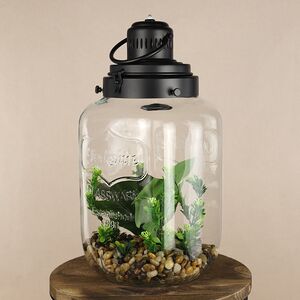 Декоративный флорариум-банка Rubiera с Монстерой 39*20 см, теплая белая LED подсветка  Koopman фото 2