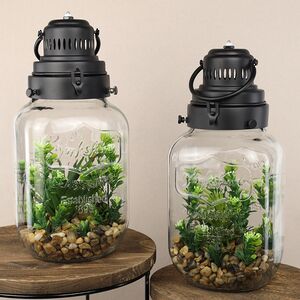 Декоративный флорариум-банка Rubiera с Элодией 39*20 см, теплая белая LED подсветка  Koopman фото 4