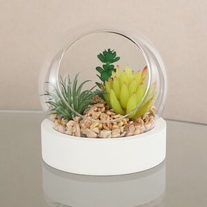 Искусственный флорариум-шар Foriolle Esta 13*12 см