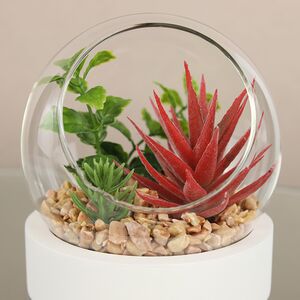Искусственный флорариум-шар Foriolle Alto 13*12 см Koopman фото 2