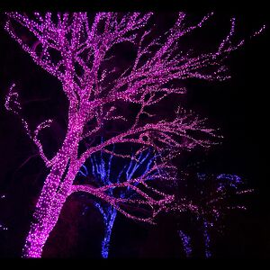 Гирлянды на дерево Клип Лайт Quality Light 30 м, 300 розовых LED ламп, черный ПВХ, IP44